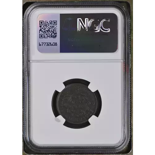 1804 SPIKED  BN (3)