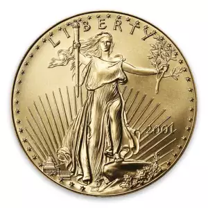 2001 1oz American Gold Eagle (2)