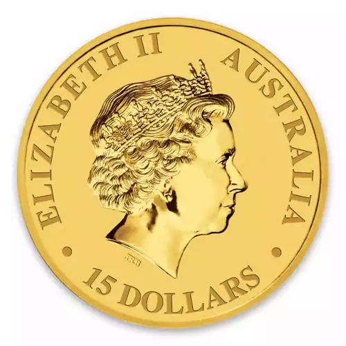 2010 1/10oz Bullion Kangaroo Coin (4)