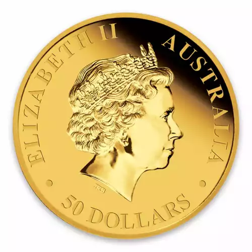 2010 1/2oz Bullion Kangaroo Coin (4)