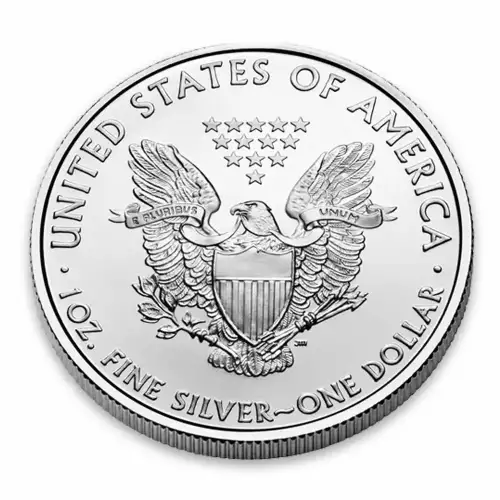 2010 1oz American Silver Eagle (3)