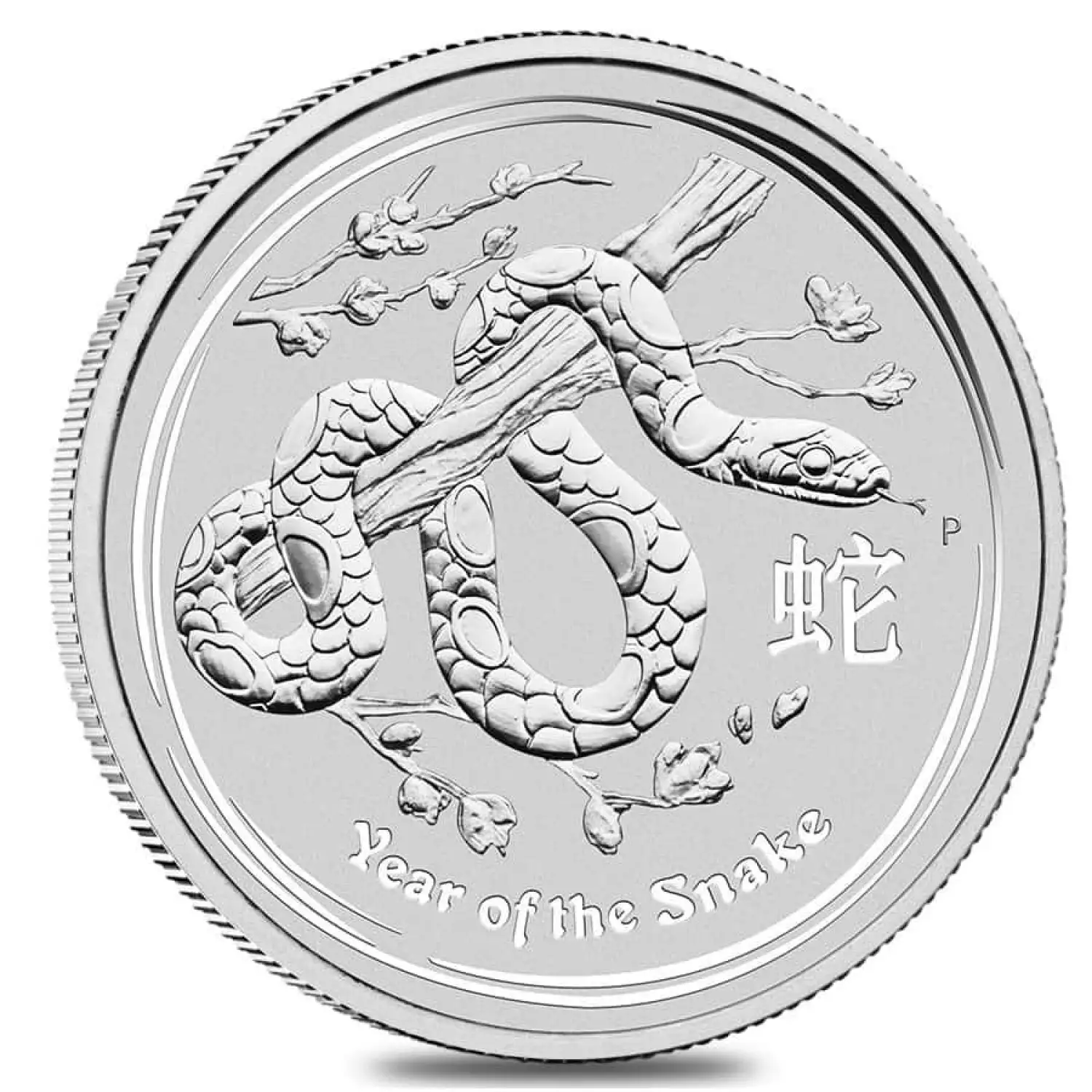 2013 10oz Australian Perth Mint Silver Lunar II: Year of the Snake (2)