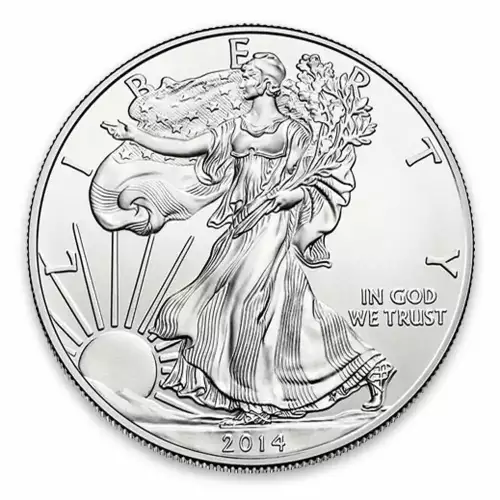 2014 1oz American Silver Eagle (2)