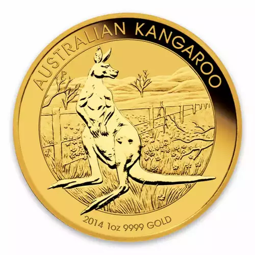 2014 1oz Bullion Nugget / Kangaroo Coin (3)