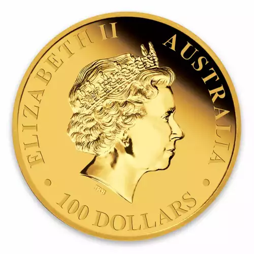 2014 1oz Bullion Nugget / Kangaroo Coin (4)