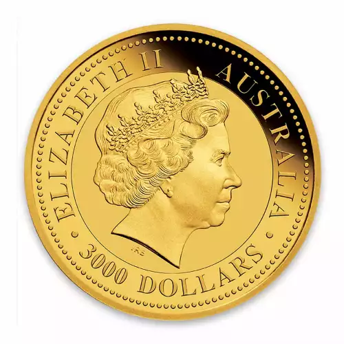 2015 1kg Bullion Nugget / Kangaroo Coin (2)