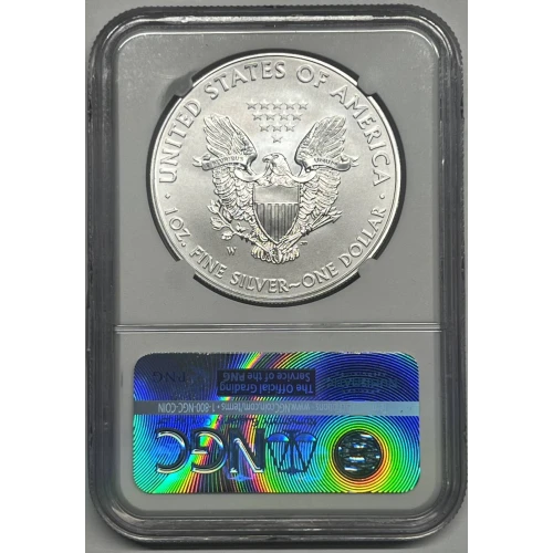 2015 W BURNISHED SILVER EAGLE FIRST DAY OF ISSUE  (2)