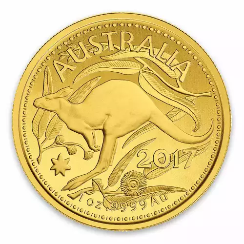 Any Year Royal Australian Mint 1oz Kangaroo (2)