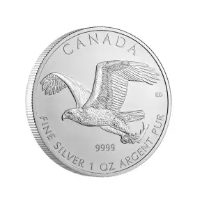 2014 1oz Canadian Silver Bald Eagle (2)